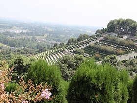 园区风景总览