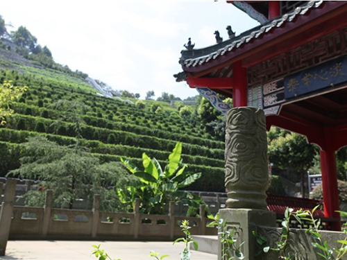 10、园区绿道.jpg